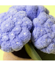 Charger l'image dans la galerie, Plante en pot hydrangea
