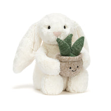 Charger l'image dans la galerie, Lapin avec plante
