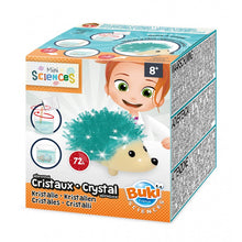 Charger l'image dans la galerie, Atelier cristaux  -Buki
